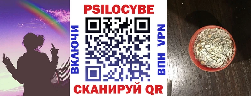 Галлюциногенные грибы Psilocybe купить Калининград